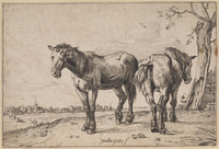 KG 04496
<br/>
Twee paarden in de wei
<br/>
<em>Potter, Paulus (1625-1654) - kopie naar</em>